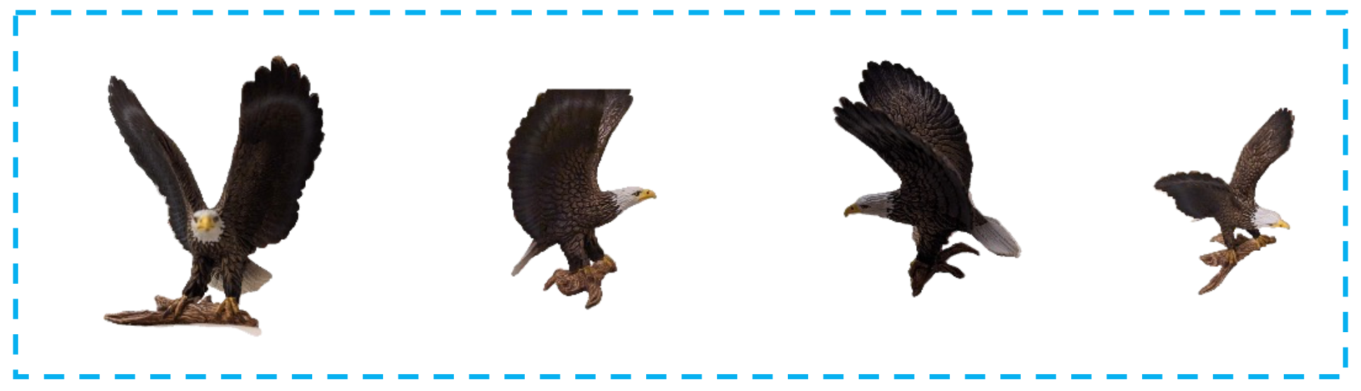 Result 1 Reference Images